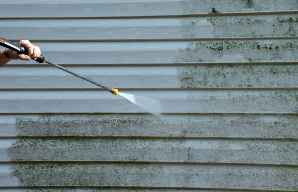 Best Localized Mold Remediation (e.g., coastal areas, humid climates) in West Linn, OR