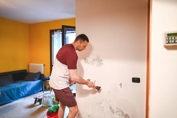 Best Black Mold Remediation in West Linn, OR